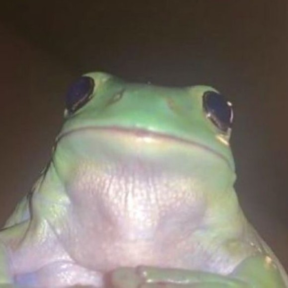 Meet your Posher, Emma - Picture 1 of 1